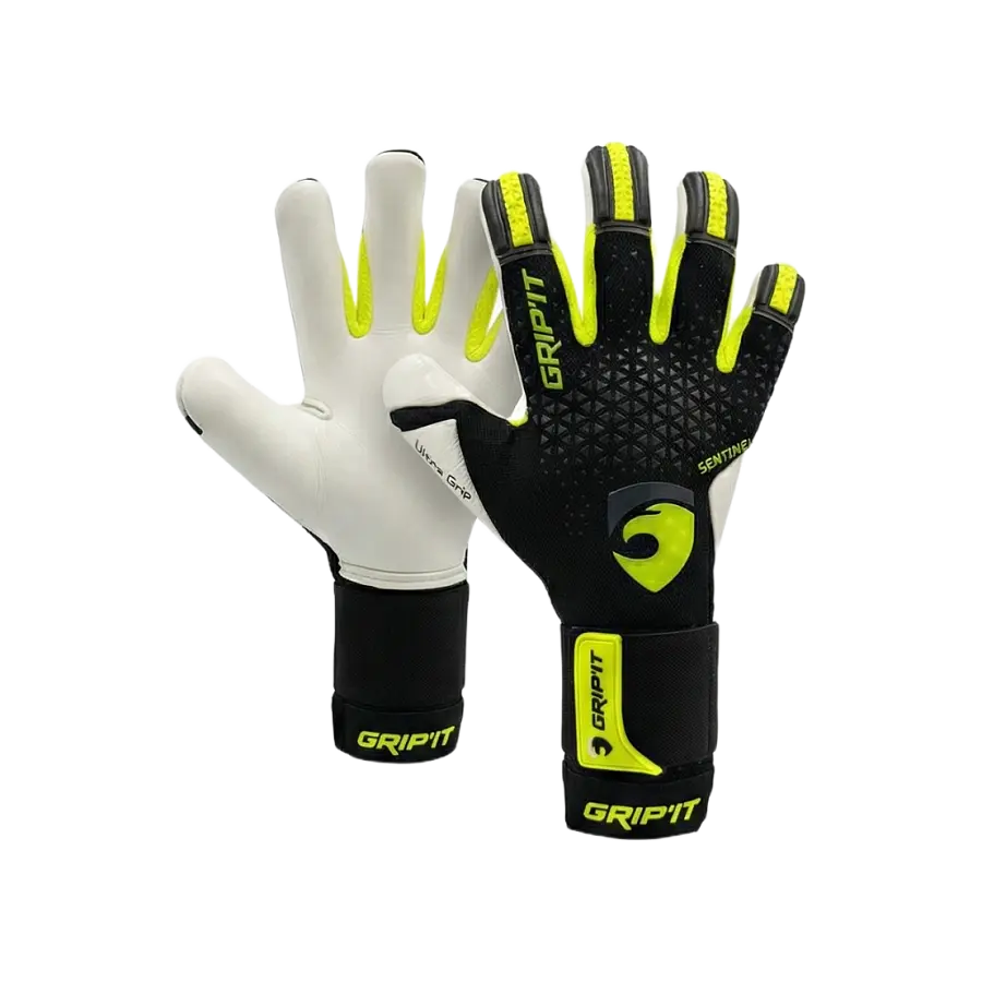 Sentinel Neon – 4